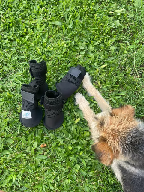 Botas de Neoprene para Perros – Protección Antideslizante