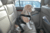 Perro mediano Beagle viajando en auto con arnes y cinturón de seguridad