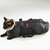 Bolso de transporte y sujeción para gatos (para aplicarle remedios, cortarle las uñas, etc.) - Dudi Mascotas - PET SHOP ONLINE 