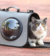 Bolso transportador para gatos con visor y bolsillo - comprar online