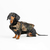 Chaleco salvavidas para perros pequeños - Dudi Mascotas - PET SHOP ONLINE 