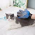 Guante manopla True Touch - Dudi Mascotas - PET SHOP ONLINE 