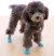 Medias con antideslizante - Dudi Mascotas - PET SHOP ONLINE 