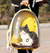 Mochila transparente para mascotas - Dudi Mascotas - PET SHOP ONLINE 