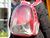 Imagen de Mochila transparente para mascotas