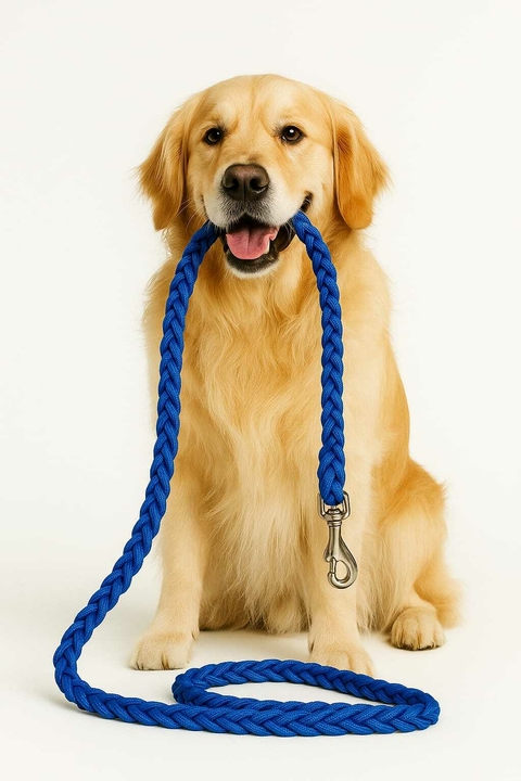 Correa Trenzada Resistente para Perros Grandes - comprar online
