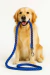 Correa Trenzada Resistente para Perros Grandes - comprar online