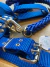 Pechera y correa reforzadas (pitbull) - Dudi Mascotas - PET SHOP ONLINE 
