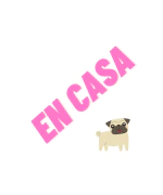 Categoría 4