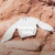Banner de scombro