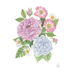 Print "BouquetDhalia"