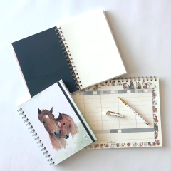 Combo Grande: Cuaderno Horse + Roller Pen + Planificador - comprar online