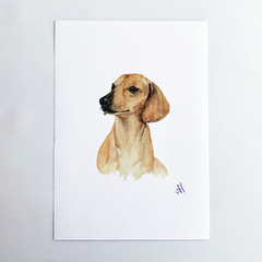 Print "Dachshund"