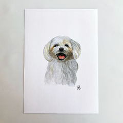 Print "Maltese"