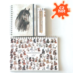 Combo Grande: Cuaderno Paint Horse + Roller Pen + Planificador