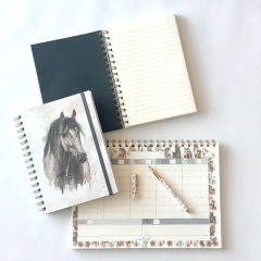 Combo Grande: Cuaderno Paint Horse + Roller Pen + Planificador - comprar online