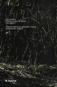 Tener lo que se tiene. Vol. 1 - Diana Bellesi