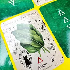 Oráculo de la Bruja Verde - comprar online
