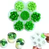 Molde Silicona Vela 7 Suculentas Mini - comprar online