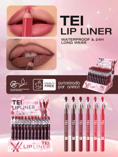 SET DE 6 DELINEADORES DE LABIOS