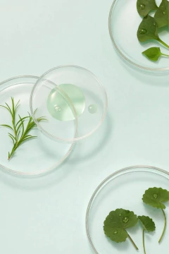 SERUM BALANXEFUL CENTELLA - Gigi Store