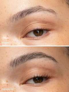 MASCARA DE CEJAS INVISIBLE en internet