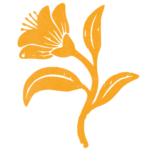 INGREDIENTES NATURALES