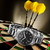 Reloj Swiss Alpine Military By Grovana Leader 7011.1137SAM - comprar online