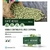 Ena Sport Natuliv Cafe Verde 60caps - comprar online