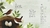 I am the seed that grew the tree - comprar online