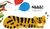 Don´t wake up tiger - comprar online
