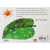 The very hungry caterpillar (book & toy gift set)