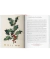 Jardín del Edén - comprar online