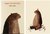 I want my hat back - tienda online