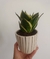 Maceta cerámica grande - comprar online