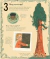 21 Things to do with a tree - An outdoor activity book - comprar online