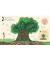 21 Things to do with a tree - An outdoor activity book en internet
