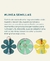 Carrusel 2