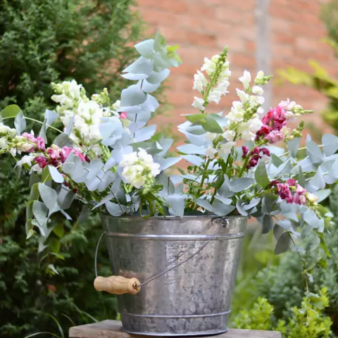 Balde Grande Galvanizado com Alça de Madeira