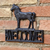 PLACA HORSE
