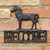 PLACA HORSE