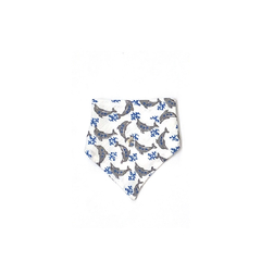 triangulito delfin