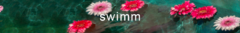 Banner de la categoría SWIMWEAR