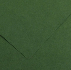 PAPEL COLOR IRIS VIVALDI VERDE AMAZONAS 185G A4 5 FLS
