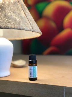 Hortelã - comprar online