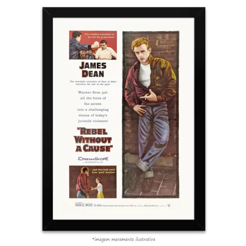 Poster Juventude Transviada