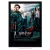 Poster Harry Potter e o Cálice de Fogo