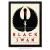 Poster Cisne Negro