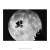 Poster E.T. - O Extraterrestre - QueroPosters.com