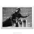 Poster Darth Vader - comprar online